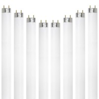 Dysmio Lighting 15 Watt T8 Straight Tube, Medium Bi-Pin Base, 6500K - Daylight Pack Of 8