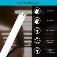 Dysmio Lighting 15 Watt T8 Straight Tube, Medium Bi-Pin Base, 6500K - Daylight Pack Of 8