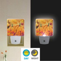 Vdsrup Fall Sunflowers Pumpkins Night Light Set Of 2 Autumn Butterfly Maple Leaf Plugin Led Nightlights Auto Dusktodawn Senso