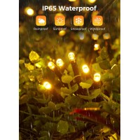 2-Pack 480Led 170Ft Total Solar Outdoor Lights Ip65 Waterproof Solar Powered Lights With 8 Lighting Modes For Party Garden Yard Home Holiday Tree Decoration Lighting, Warm White