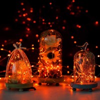 Anjaylia Orange String Lights Fairy Lights 10Ft 30 Leds Twinkle Lights For Party Halloween Thanksgiving Christmas Decoration