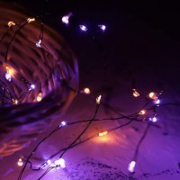 Xiwu Orange & Purple Halloween Fairy Lights 10Ft 60 Leds Fall String Lights,12-Function Color Changing Battery Operated Halloween Lights With Remote For Fall Halloween Home Bedroom Indoor Gift Decor