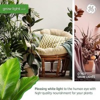 Ge Grow Led Light Bulb For Plants Seeds And Greens With Balanced Light Spectrum Br30 Floodlight 4 Pack