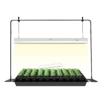 Igrowtek 2Ft Grow Light For Seed Starting Led Grow Lamp For Indoor Plants Seedling Grow Light With Stand Seed Starter Light Kit