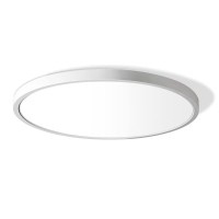 12 Inch Led Flush Mount Ceiling Light Fixture, 5000K Daylight White, 3200Lm, 24W, Flat Modern Round Lighting Fixture, 240W Equivalent White Ceiling Lamp For Kitchens, Stairwells, Bedrooms.Etc.