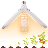 How does a plant growth lamp work Red light can promote flowering fruiting and increase production Blue light promotes photosynthesis and enhances the chloroplast activity required for healthy leaves Daylight Fullspectrum growth light close to 99 of natur