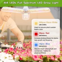 How does a plant growth lamp work Red light can promote flowering fruiting and increase production Blue light promotes photosynthesis and enhances the chloroplast activity required for healthy leaves Daylight Fullspectrum growth light close to 99 of natur