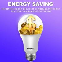 Energetic 24 Pack A19 Led Light Bulb, 40 Watt Equivalent Daylight 5000K, E26 Standard Base, Ul Listed, Non-Dimmable Led Light Bulb