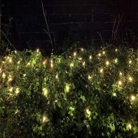 Jinbest 150 Led Warm White Christmas Lights, Ul Certified And Commercial 50 Ft Green Wire Decorator Series, For Indoor And Outdoor Use.