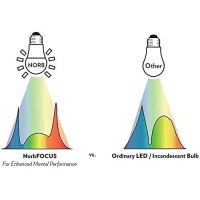 Norbfocus Desk Lamp Led Light Bulb Unique Light Spectrum For Mental Performance Supports Learning, Retention, Recall, Reading Speed For Use As A Reading Light, Study Light, Work Light Or Task Light