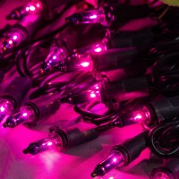 Sweet Shine 200 Count Purple Christmas Lights Pack Of 2 Strands 100 Count 33 Ft Black Wire Ul Listed Halloween String Light Pu