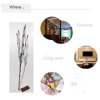 Led Branch Lights Battery Powered,Warm White Lighted Twig Branches Decorative Lights Willow Twig Lighted Branch For Home Holiday Party Decoration