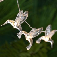 Globrite 10 Led Hummingbird Solar Garden Fairy String Lights (Warm White)