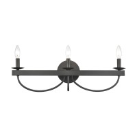 Williamson 3-Light Vanity Light In Black