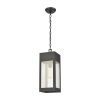 Angus 1-Light Outdoor Pendant In Charcoal With Seedy Glass Enclosure