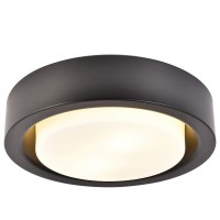 Cotulin 12.8 Inch Black Metal Glass Flush Mount Ceiling Light,Round Ceiling Lighting Fixture For Hallway Bedroom Closet Living Room Kitchen Stairwell