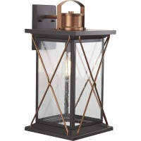 Progress Lighting Barlowe Collection 1-Light Clear Seeded Glass Farmhouse Outdoor Large Wall Lantern Light Antique Bronze