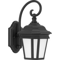 Crawford Collection 1-Light Etched Glass New Traditional Outdoor Small Wall Lantern Light Textured Black