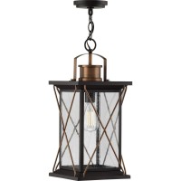 Progress Lighting Barlowe Collection 1-Light Clear Seeded Glass Farmhouse Outdoor Hanging Lantern Light Antique Bronze