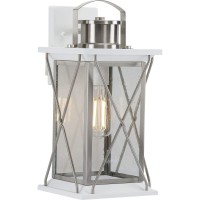 Progress Lighting Barlowe Collection 1-Light Clear Seeded Glass Farmhouse Outdoor Medium Wall Lantern Light Stainless Steel