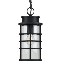 Progress Lighting Port Royal Collection 1-Light Clear Glass Farmhouse Outdoor Hanging Lantern Light Textured Black