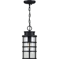 Progress Lighting Port Royal Collection 1-Light Clear Glass Farmhouse Outdoor Hanging Lantern Light Textured Black