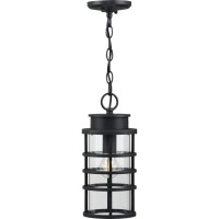 Progress Lighting Port Royal Collection 1-Light Clear Glass Farmhouse Outdoor Hanging Lantern Light Textured Black