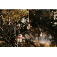 Barebones Edison Pendant String Lights - Forest Lantern, Lantern, And Railroad Lantern - Formal Outdoor String Lights Edison And String Lanterns (Copper)