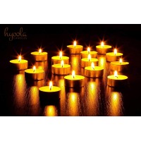 Hyoola Tea Lights Candles 300 Bulk Candles Pack Tea Candles Unscented European Made Tealight Candles