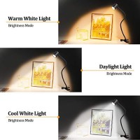 Clip On Light Reading Light, 3 Color Modes Led Desk Lamp, 10-Level Brightness Clamp Light, High=90+Cri Eye Protect Clip On Reading Lamp, 360? Flexible Gooseneck Book Light For Desk Bedside Headboard