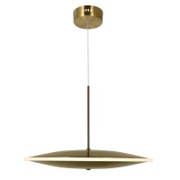 Led Pendant With Brass Finish