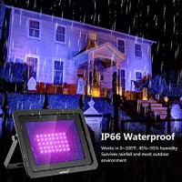 Everbeam 365Nm 100W Uv Led Black Light - High Performance Led Bulbs, Ip66 Waterproof - Ultraviolet Flood Lighting For Aquarium, Indoor Or Outdoor Parties, Stage - Party Supplies, Halloween Decorations