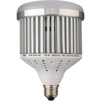 Raya Led Light Bulb (45W)