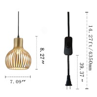 Riomasee Industrial Wire Cage Plug In Pendant Lighting Metal Hanging Light Fixture With 14.27 Ft Hanging Cord And On/Off Switch (Gold)