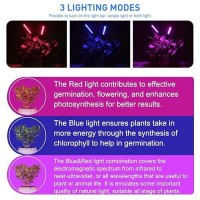 Sun Yoba 80W Grow Light 80 Led Multiarm Plant Light Desk Clip On Indoor Plant Flower Lamp Long Arm Grow Lamp