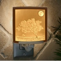 The Porcelain Garden Moon Night Lightporcelain Lithophane Frosty Moon Wall Plug In For Nursery Kitchen Bath Hallway Nature