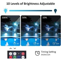 Ustellar 25W Rgb Led Flood Light Color Changing Indoor Floodlight Colored Up Light Ip66 Waterproof Dimmable Rgb Spotlight For Room House Wall Yard Halloween Light Christmas Lighting Outdoor Decoration