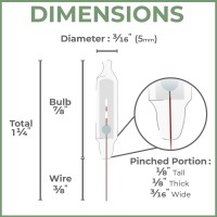 612 Vermont 3.5V Mini Christmas Replacement Bulbs For Incandescent String Lights, Pinched Base, 50 Count, 0.43 Watt, 125 Ma (Pink)