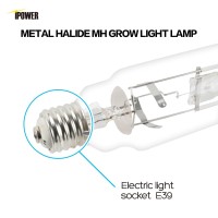 Ipower 600W Grow Light Bulb Metal Halide Mh Conversion Lamp For Plants-High Par Enhanced Blue & Violet Spectrums, Cct 6000K