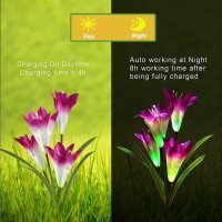 Angmln 4 Pack Solar Flowers Lights 16 Bigger Head Solar Lily Flowers 7 Color Changing Pathway Lamps For Garden Patio Yard Party