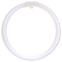 Sunlite 41430 Fc12T9/Ww T9 Round Fluorescent Circline Lamp, 32 Watts, 2600 Lumens, 3000K Warm White, Rohs Compliant, G10Q 4-Pin Base, 1 Pack