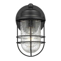 Golden Lighting 9808-Ows Nb-Sd Seaport Outdoor Sconce, 5 In. H, Natural Black (Uv)