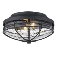 Golden Lighting 9808-Ofm Nb-Sd Seaport Outdoor Flush, Natural Black (Uv)