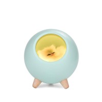 Fantasee Creative Little Cat Pet House Night Light Kitten Bedside Sleeping Nursery Light Usb Rechargeable Touch Dimmable Atmosphere Light For Baby Child Birthday Party Gift Home Decor (Green)