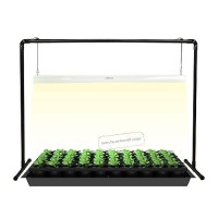 Igrowtek 2 Feet Led Grow Light Stand For Seedling Iron Pipe Frame With Natural White Light Full Spectrum Led Plant Growing Lamp