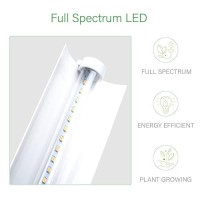 Igrowtek 2 Feet Led Grow Light Stand For Seedling Iron Pipe Frame With Natural White Light Full Spectrum Led Plant Growing Lamp