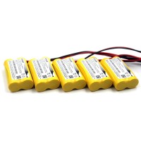 Elxjar 5Pack 24V 1200Mah Aa Nicd Battery Pack Replacement For Lithonia Elb2P401N Elb 2P401N Elb0310 Elb 0310 Powercell Pch