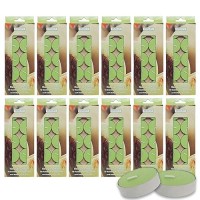 Hosley 120 Pcs Bulk Pack Honeydew Melon Fragrance Highly Scented Tea Light Candle Ideal For Wedding Church Vigil Emergency Lant