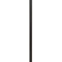 Benjara Polyresin Floor Lamp With Glass Shade And Pull Chain Switch, Black