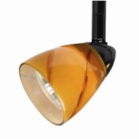 Benjara 50 Watt Track Fixture With Handblown Glass Shade, Black And Orange